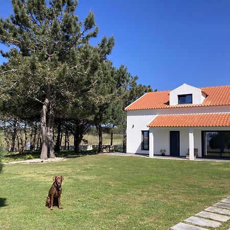 Bed and Breakfast 45 Pines West Acafora Exterior foto
