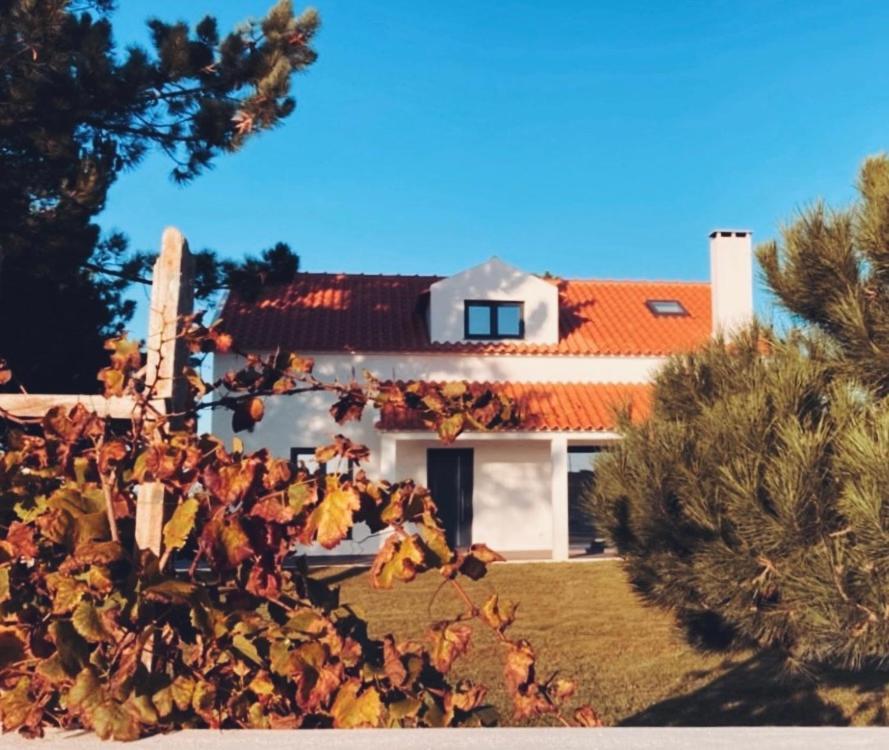 Bed and Breakfast 45 Pines West Acafora Exterior foto